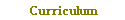 Curriculum